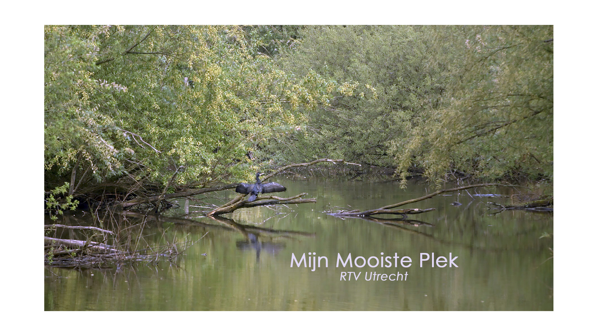 MMP2017-WEBSITE1